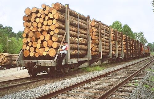 Bob Ciminel working a log train